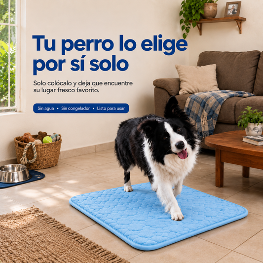 NuvaPet  · Tapete refrescante para perros